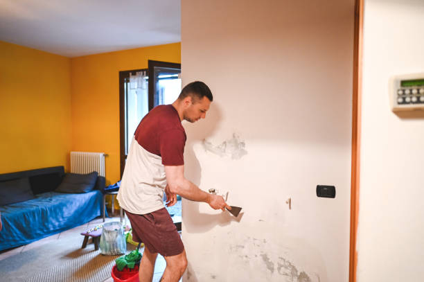 Best Attic Mold Remediation in Middletown, CT